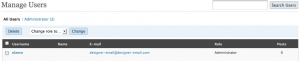 website-designer-wordpress-access